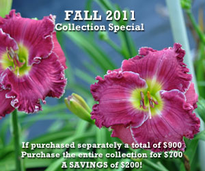 fall_2011_collection_special