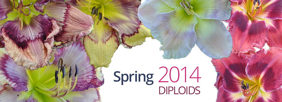 banner 2014 spring diploids