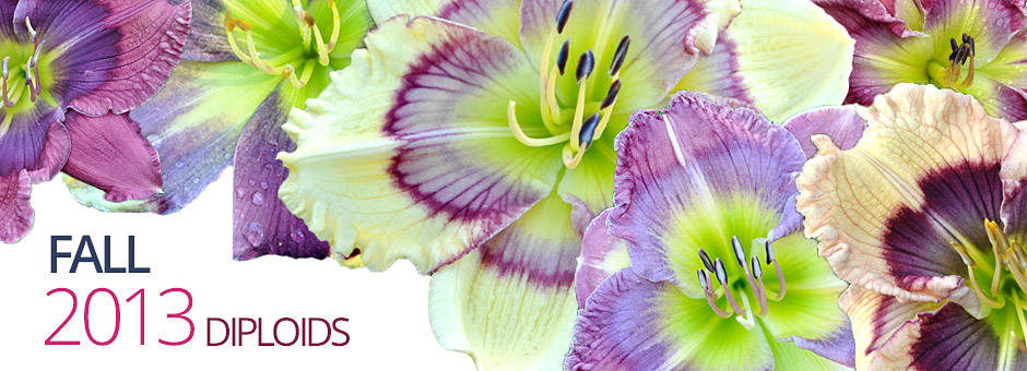 banner 2013 fall diploids
