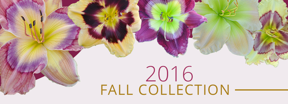fall 2016 home banner